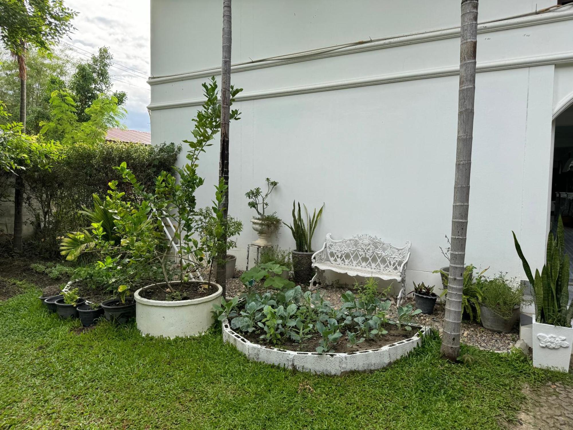 Chiang Mai Las Orquideas Resort Εξωτερικό φωτογραφία